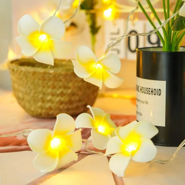 Kathgolap Light - Image 2