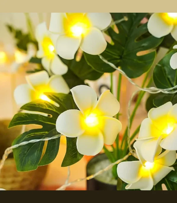 Kathgolap Light